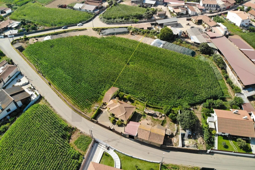 Terreno para Venda em Avanca Foto 8