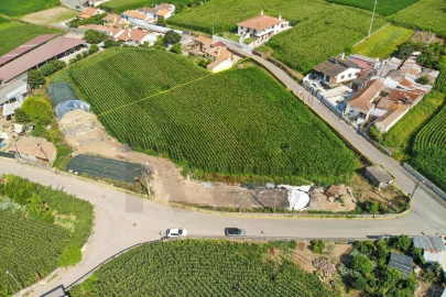 Terreno para Venda em Avanca