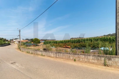 Terreno para Venda em Avanca