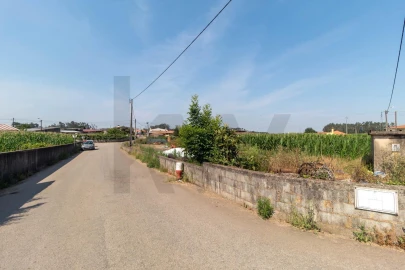 Terreno para Venda em Avanca