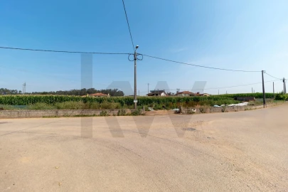 Terreno para Venda em Avanca