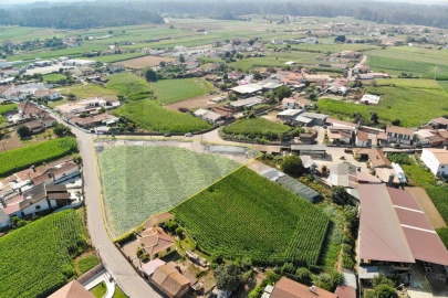Terreno para Venda em Avanca