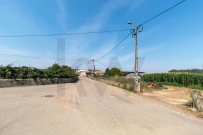 Terreno para Venda em Avanca