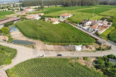 Terreno para Venda em Avanca