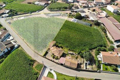 Terreno para Venda em Avanca