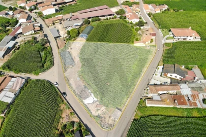 Terreno para Venda em Avanca