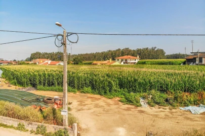 Terreno para Venda em Avanca