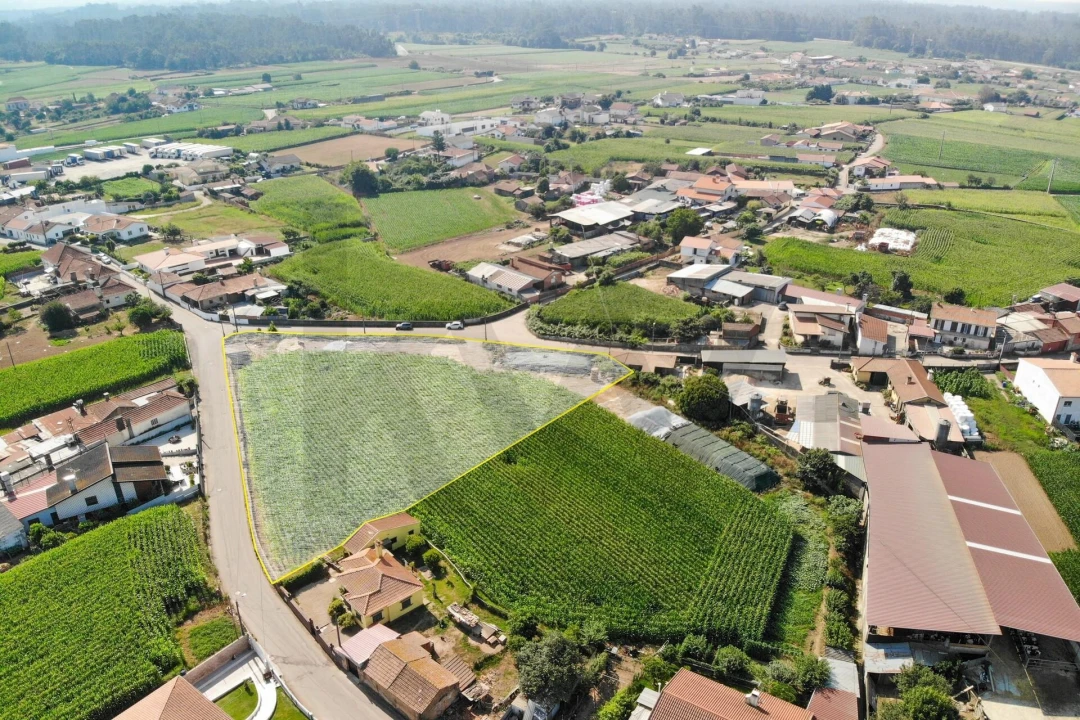 Terreno para Venda em Avanca Foto 5