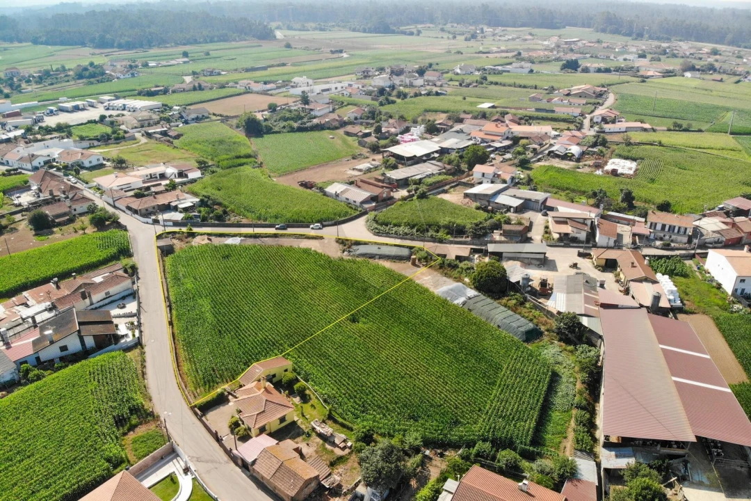 Terreno para Venda em Avanca Foto 14