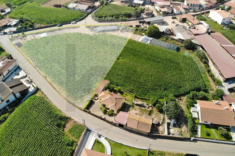Terreno para Venda em Avanca Foto 3