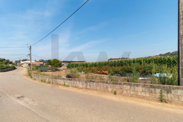 Terreno para Venda em Avanca Foto 20