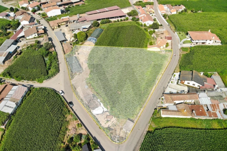 Terreno para Venda em Avanca Foto 2