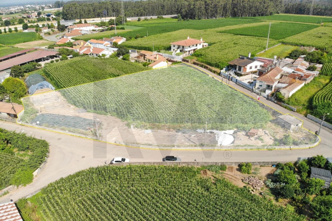 Terreno para Venda em Avanca Foto 1