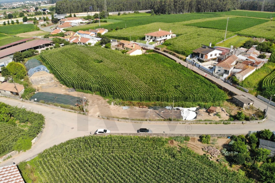 Terreno para Venda em Avanca Foto 12