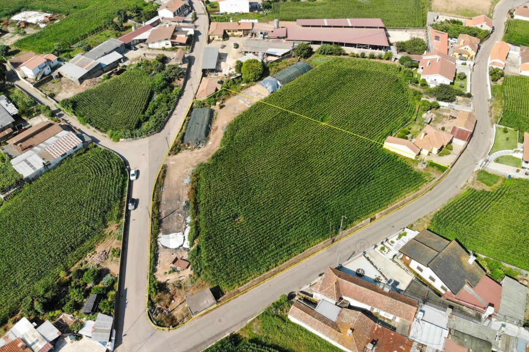 Terreno para Venda em Avanca Foto 9