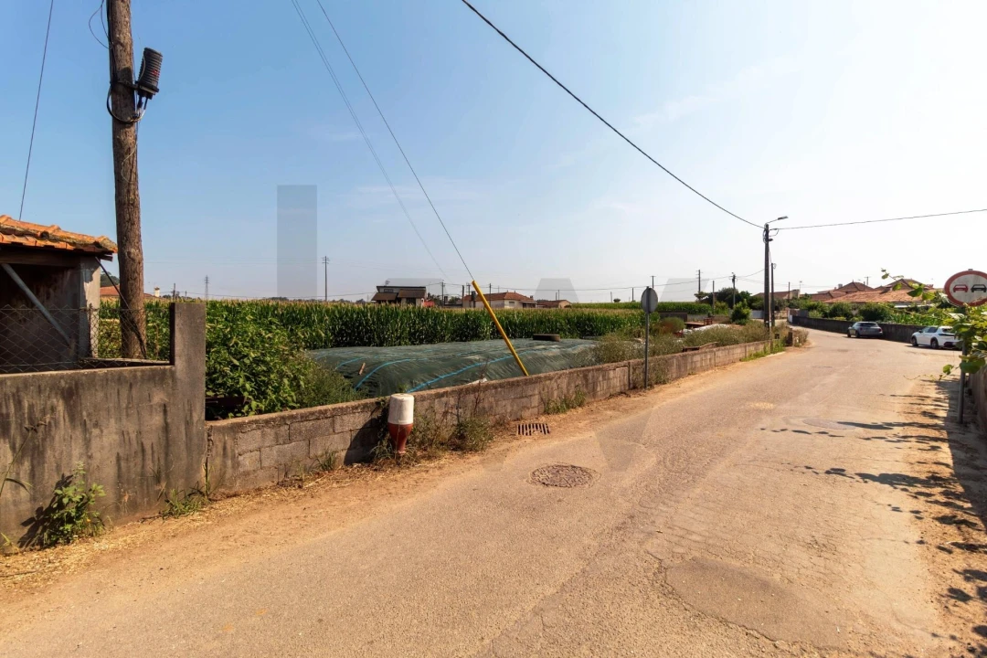 Terreno para Venda em Avanca Foto 27