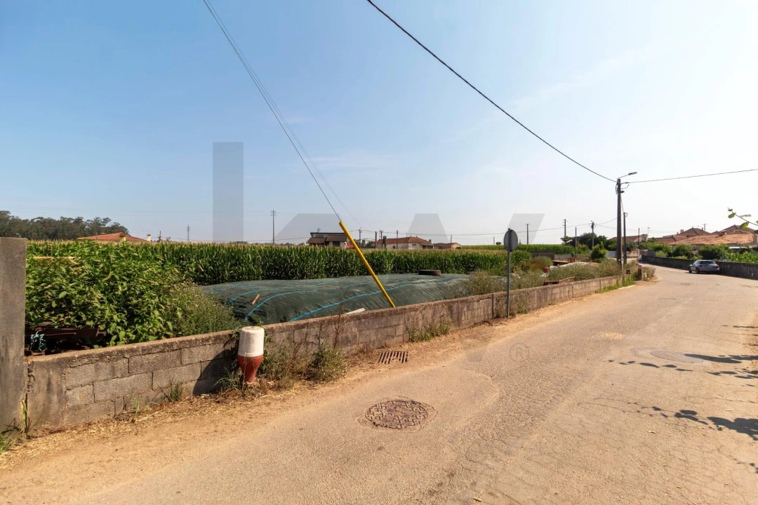 Terreno para Venda em Avanca Foto 28