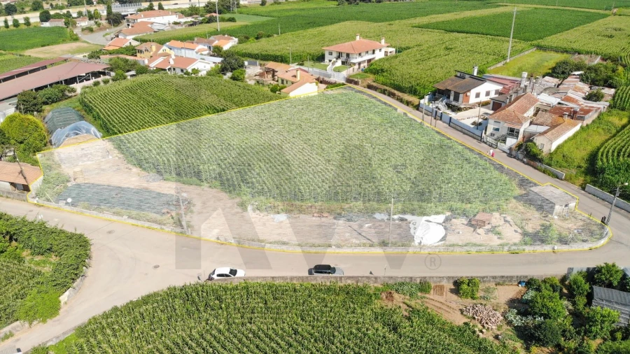 Terreno para Venda em Avanca
