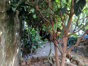 Moradia T5 para Venda em São Pedro do Sul, Várzea e Baiões