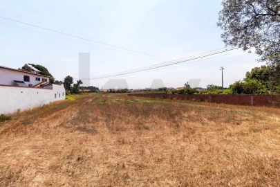 Terreno para Venda em Beduído e Veiros
