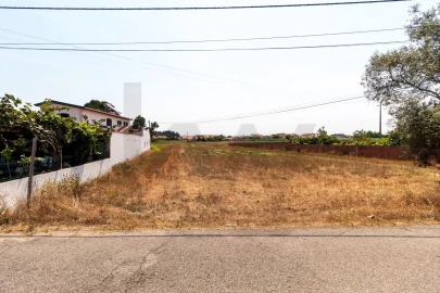 Terreno para Venda em Beduído e Veiros