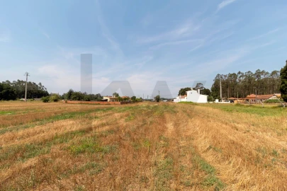 Terreno para Venda em Beduído e Veiros