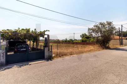 Terreno para Venda em Beduído e Veiros
