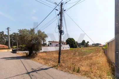Terreno para Venda em Beduído e Veiros