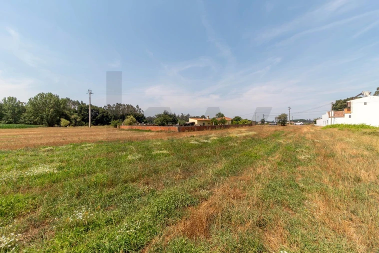 Terreno para Venda em Beduído e Veiros Foto 14