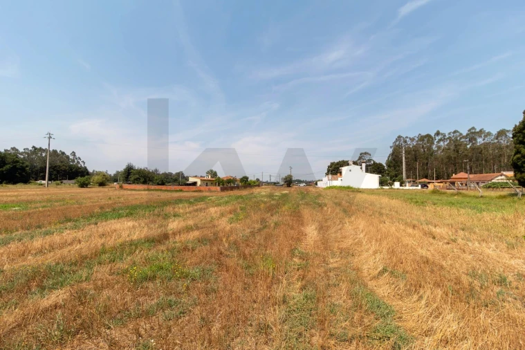 Terreno para Venda em Beduído e Veiros Foto 12