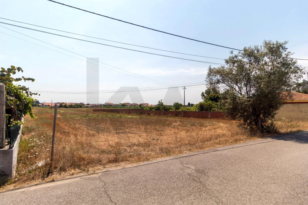 Terreno para Venda em Beduído e Veiros Foto 16