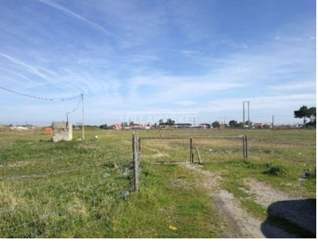 Terreno para Venda em Pinhal Novo
