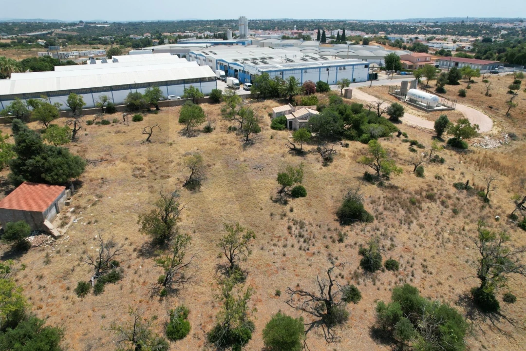 Terreno para Venda em Silves Foto 9