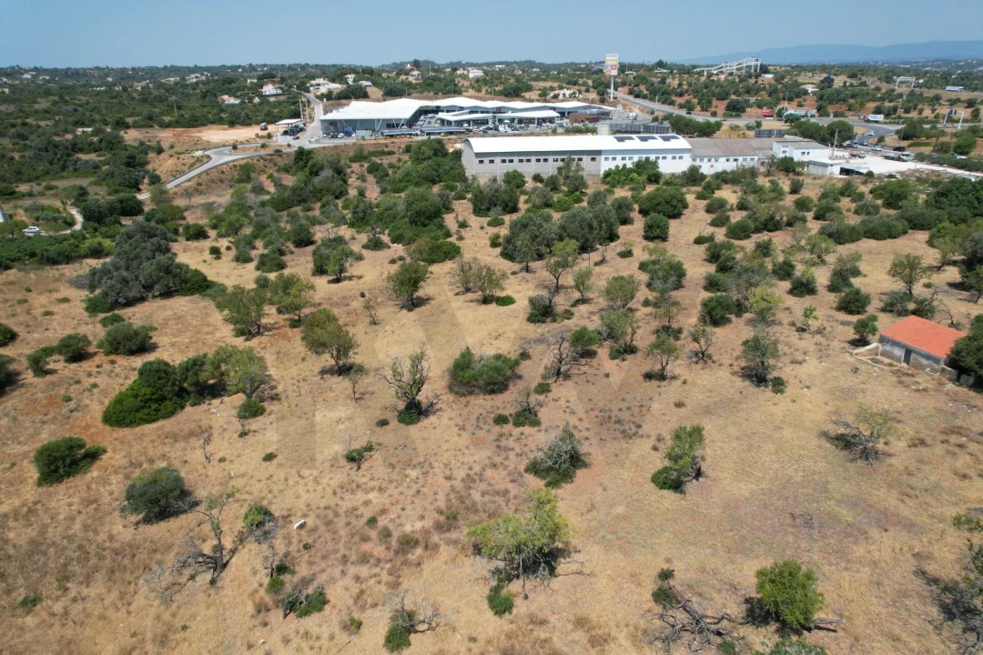 Terreno para Venda em Silves Foto 13
