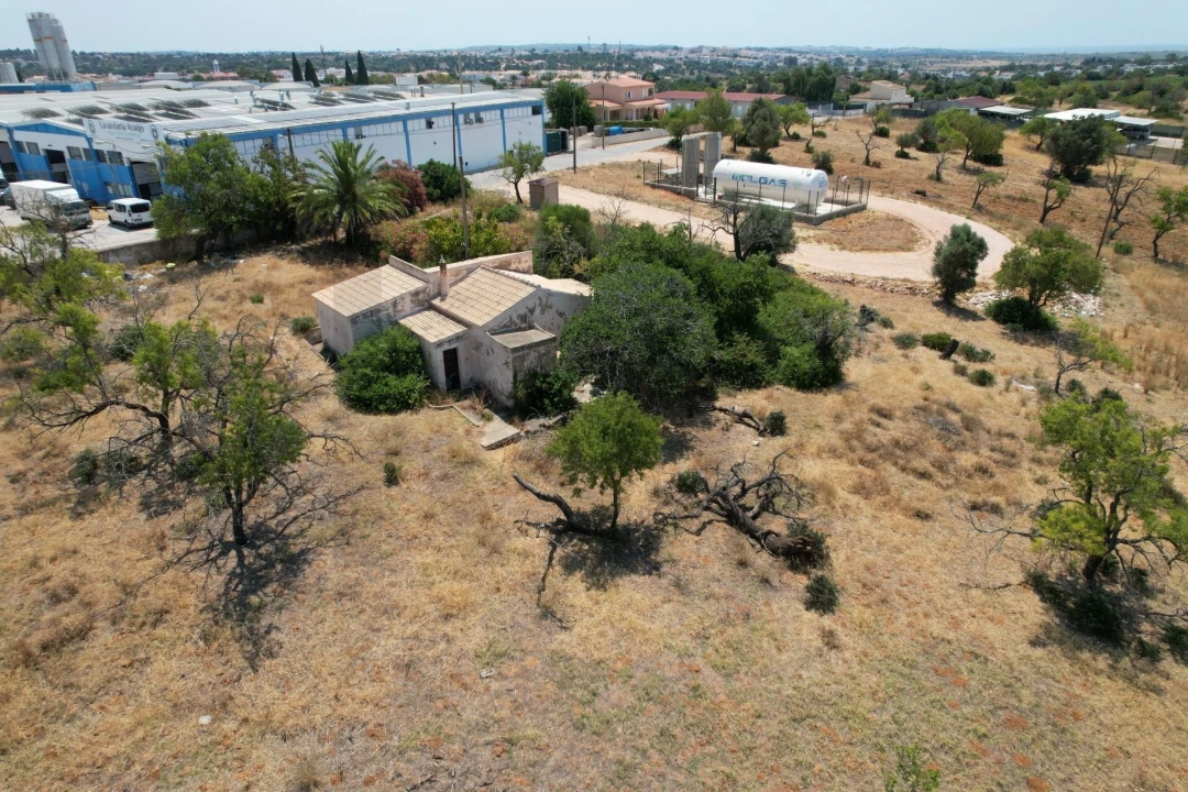 Terreno para Venda em Silves Foto 10