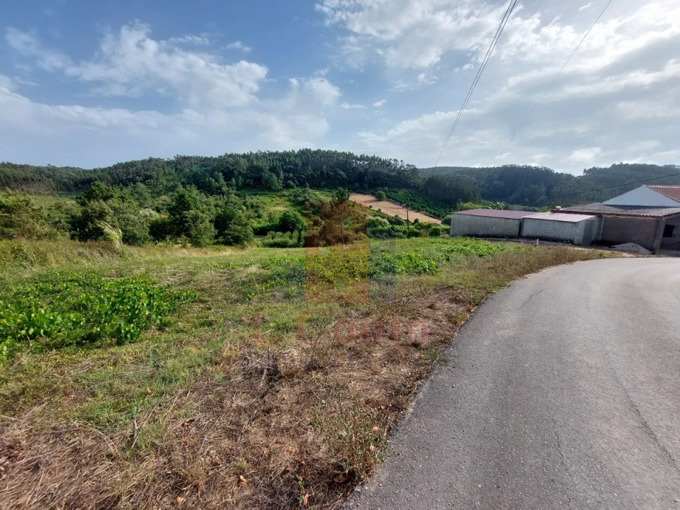 Terreno Agricola ou Rústico para Venda em Salir de Matos Foto 1