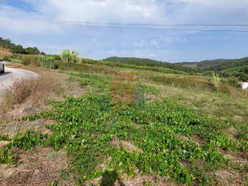 Terreno Agricola ou Rústico para Venda em Salir de Matos