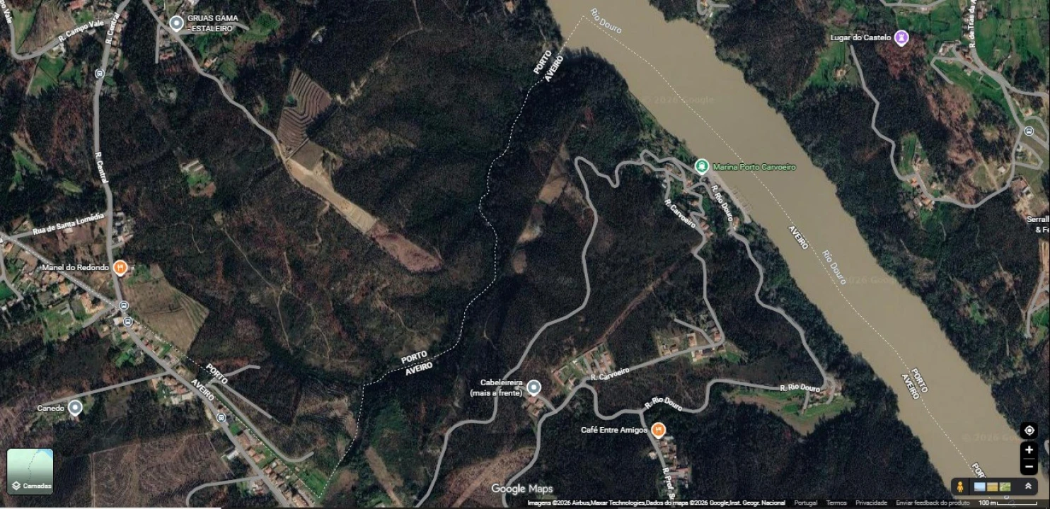 Terreno Agricola ou Rústico para Venda em Canedo, Vale e Vila Maior Foto 1