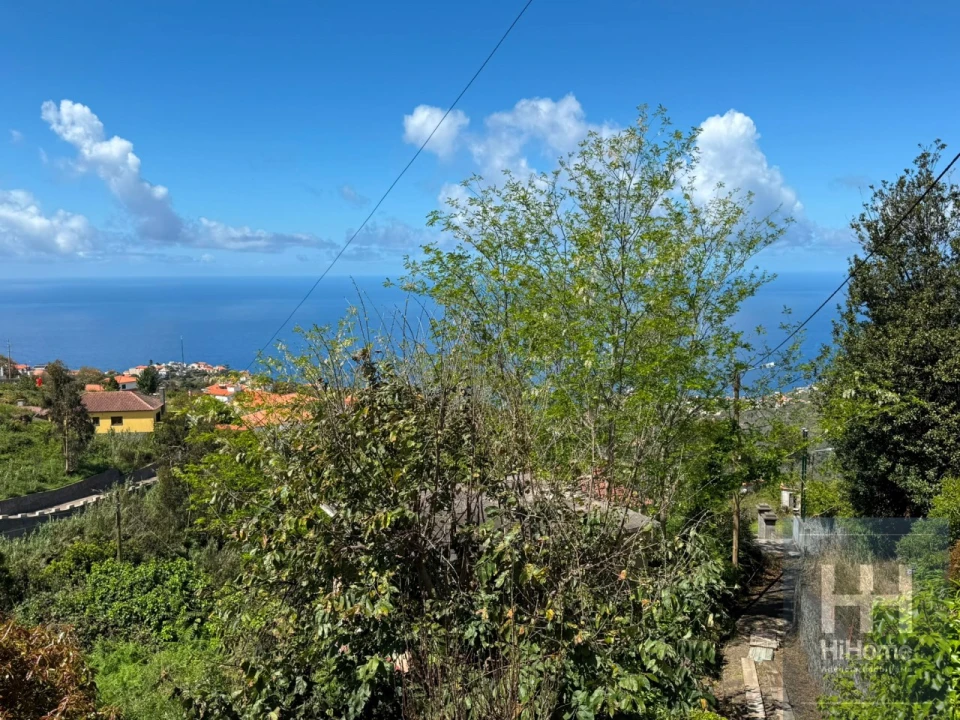 Moradia T1 para Venda em Ribeira Brava Foto 2