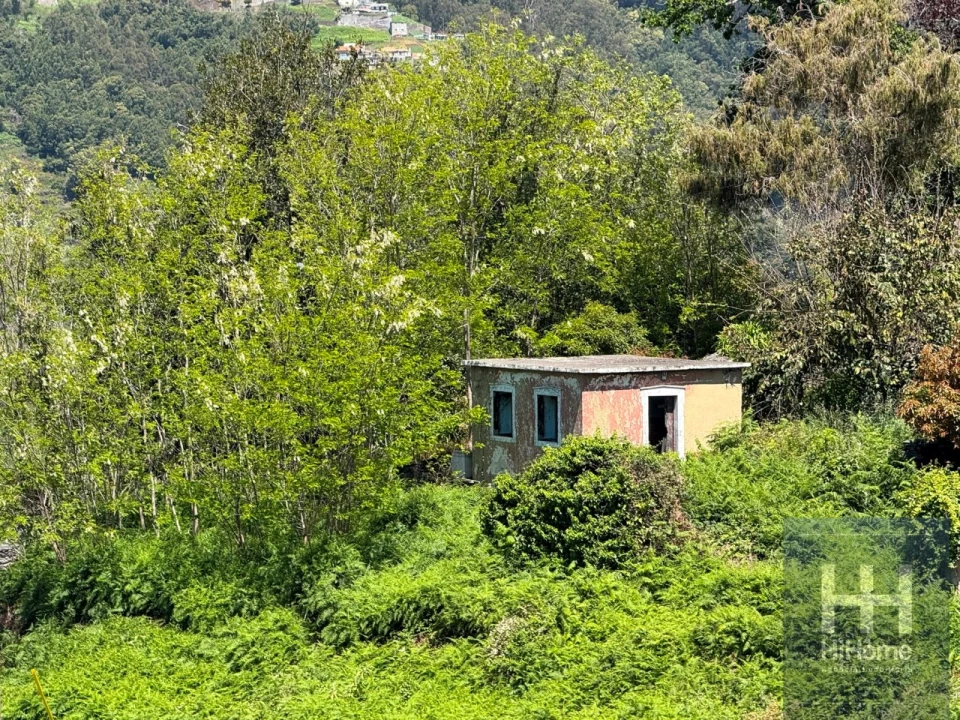 Moradia T1 para Venda em Ribeira Brava Foto 3