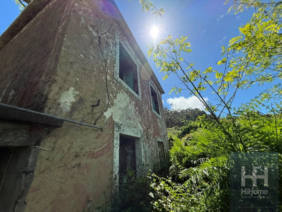 Moradia T1 para Venda em Ribeira Brava Foto 6