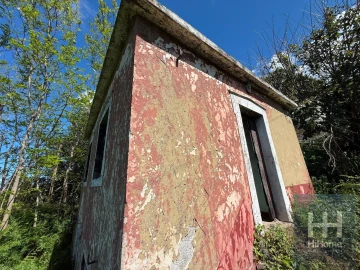 Moradia T1 para Venda em Ribeira Brava