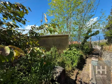 Moradia T1 para Venda em Ribeira Brava
