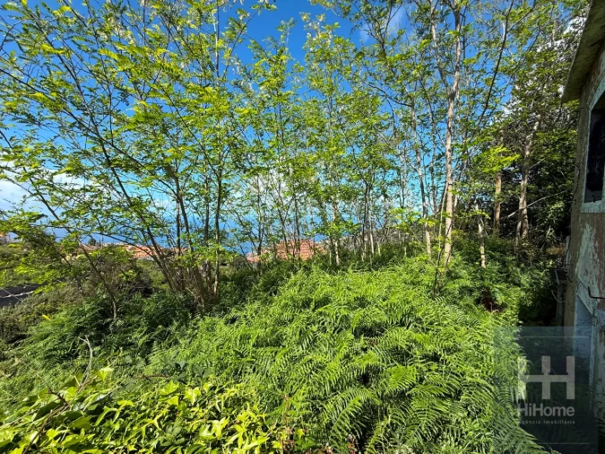 Moradia T1 para Venda em Ribeira Brava Foto 9