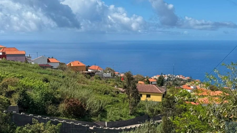 Moradia T1 para Venda em Ribeira Brava