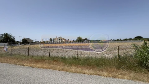 Terreno para Venda em Samora Correia