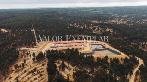 Quinta para Venda em Vale de Cavalos