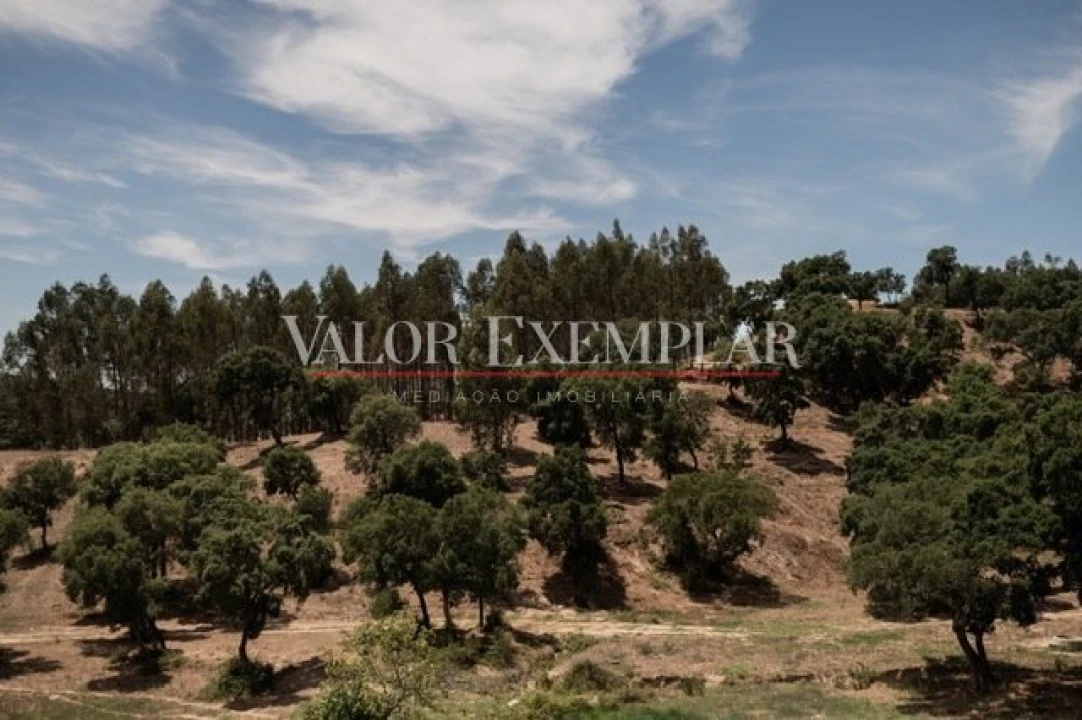 Quinta para Venda em Vale de Cavalos Foto 11