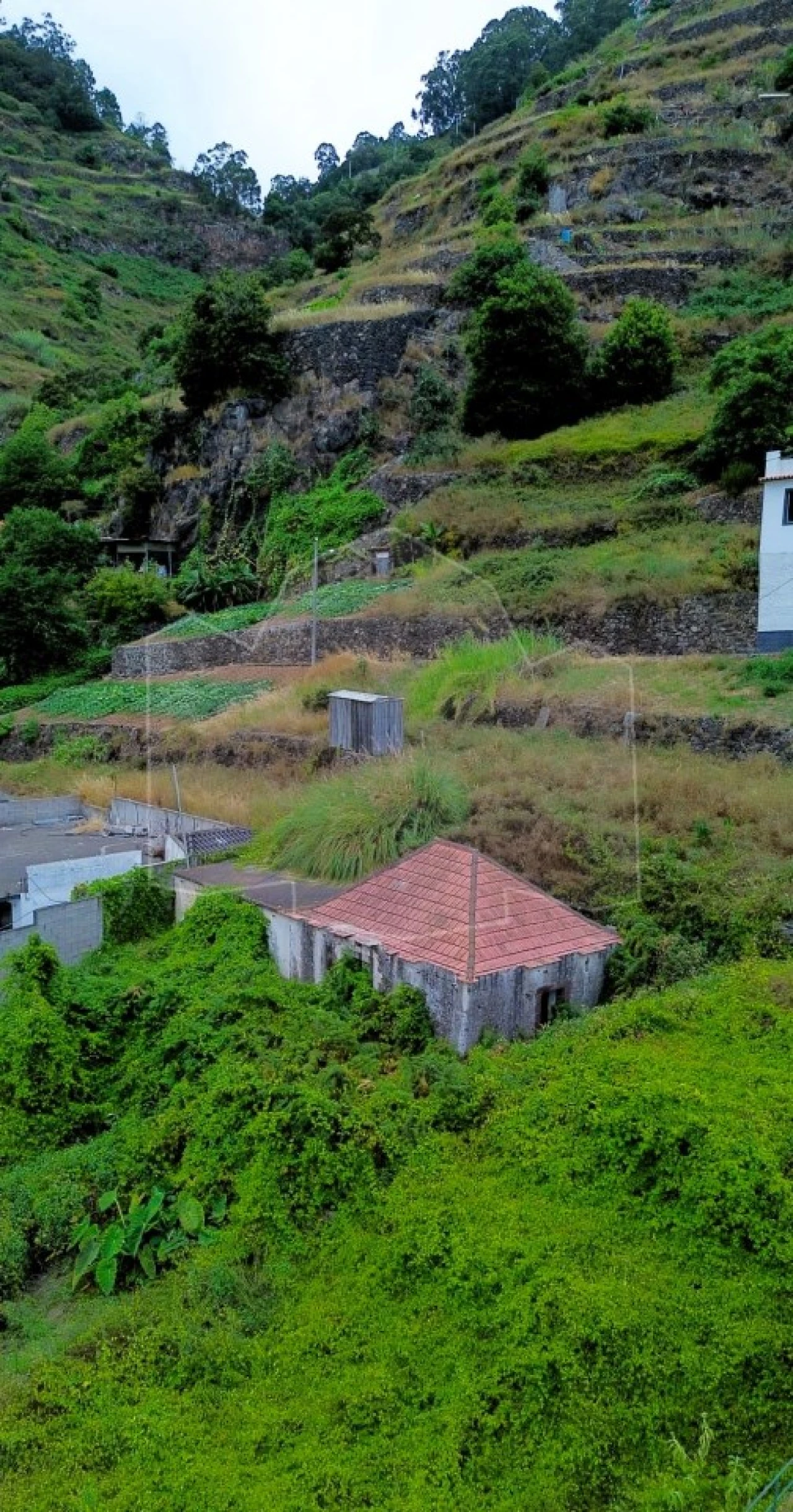 Terreno para Venda em Camara de Lobos Foto 2