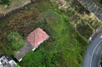 Terreno para Venda em Camara de Lobos